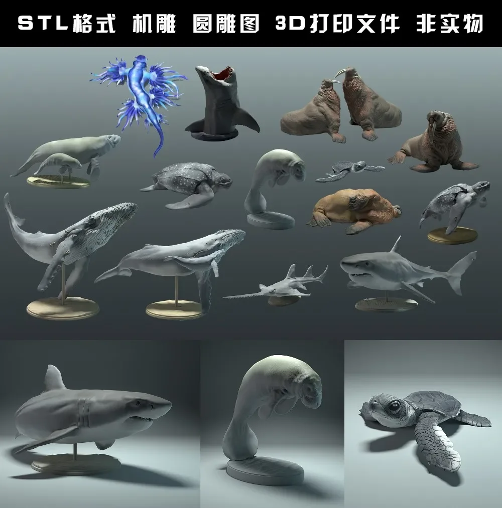 Animali, orso polare, takin, l - 3D Printing Rabbit recensione e prezzo