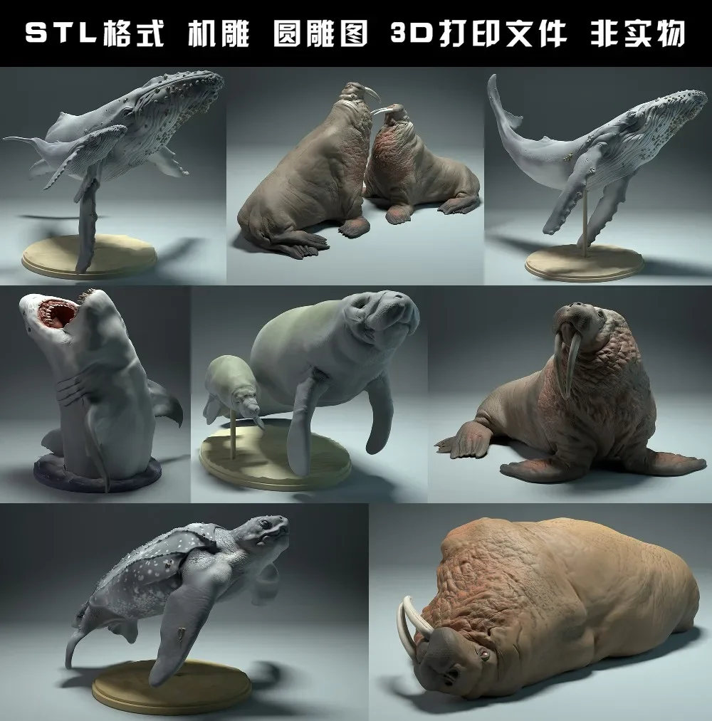 Animali, orso polare, takin, l - 3D Printing Rabbit recensione e prezzo