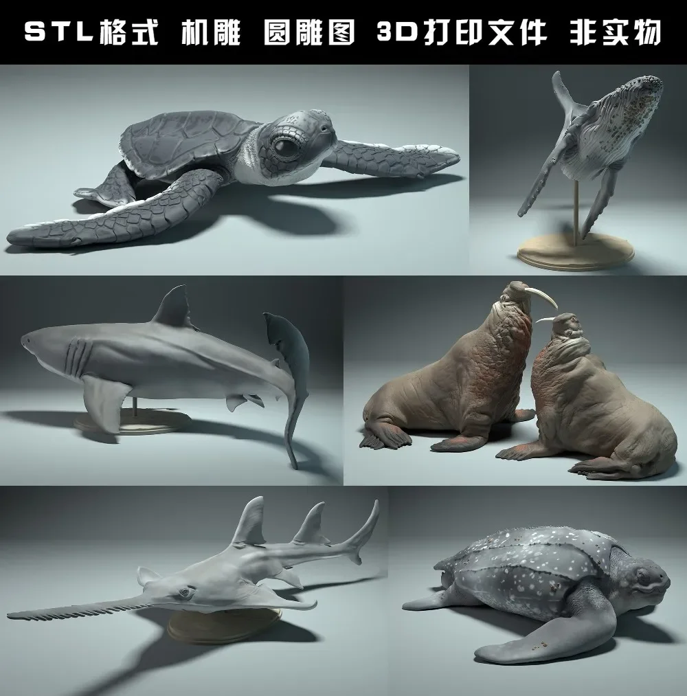 Animali, orso polare, takin, l - 3D Printing Rabbit recensione e prezzo