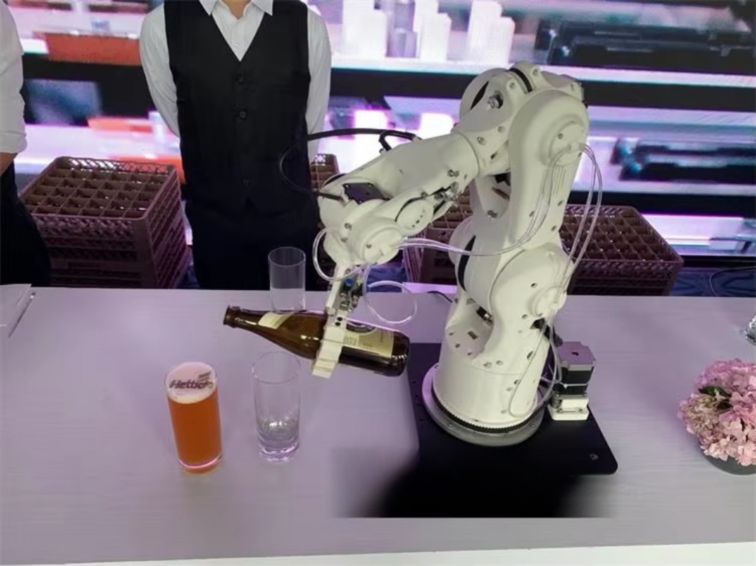 Braccio Robotico Stampato in 3 - 3D Printing Robot Arm recensione e prezzo