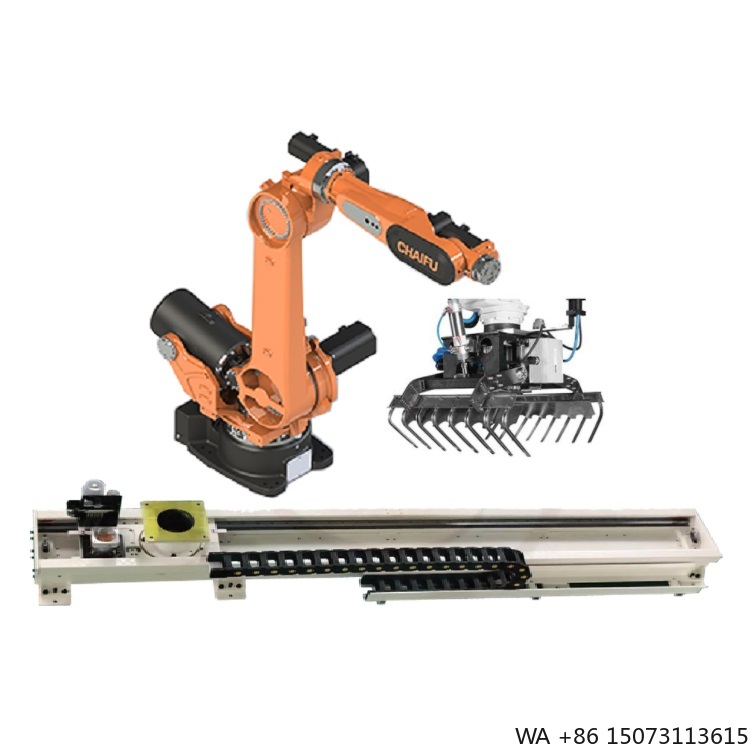 Braccio Robotico Industriale a - Linear Guide Rail recensione e prezzo